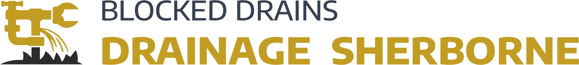 website logo